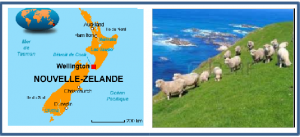 zeland3