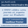 Concours du Meilleur Poster