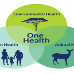3e Webinaire International Sécurité Alimentaire et Santé Animale Enjeux et perspectives de la mise en œuvre de l’approche One Health en Algérie