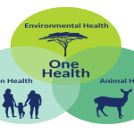  3e Webinaire International Sécurité Alimentaire et Santé Animale Enjeux et perspectives de la mise en œuvre de l’approche One Health en Algérie