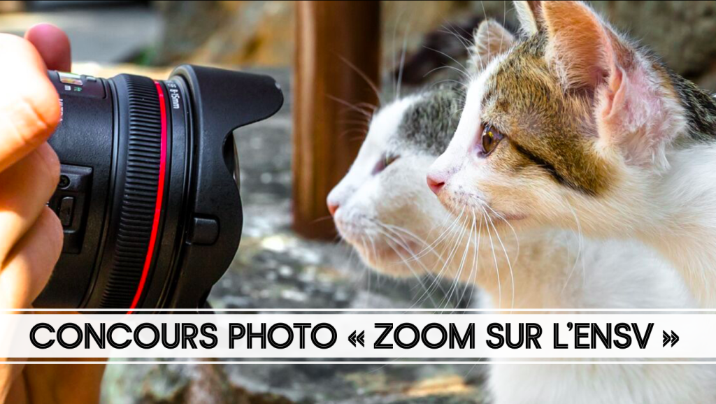 CONCOURS PHOTO « ZOOM SUR L’ENSV »