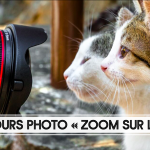 RESULTATS DU CONCOURS PHOTO " ZOOM SUR L'ENSV"