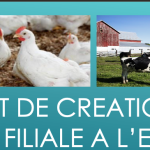  PROJET DE CRÉATION D'UNE FILIALE A L'ENSV