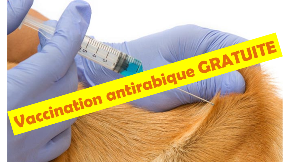 vaccination antirabique gratuite