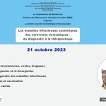 Publication du recueil des résumés de la 2eme JIS du 21 octobre du GRAL