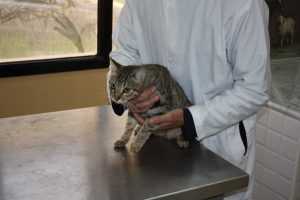 chat-contention-1024x682