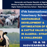 17th JISV call for papers